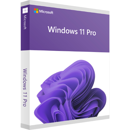 Microsoft Windows 11 Pro